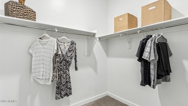 38100 W Bello Ln, Maricopa, AZ 85138 - spacious closet featuring carpet floors