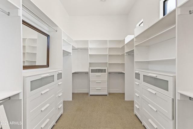 37334 N Winding Wash Trl, Carefree, AZ 85377 - walk in closet featuring light colored carpet
