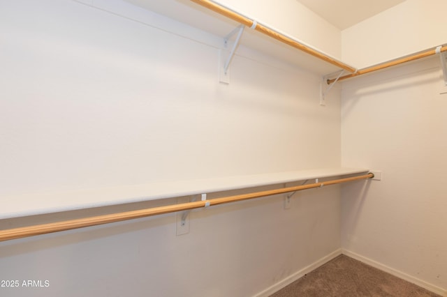 walk in closet featuring dark colored carpet