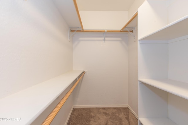 walk in closet with carpet