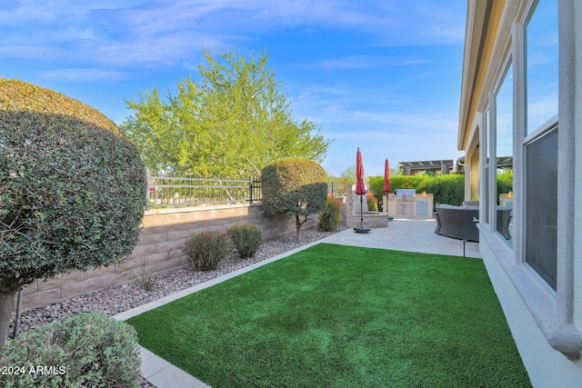 view of yard featuring area for grilling and a patio area