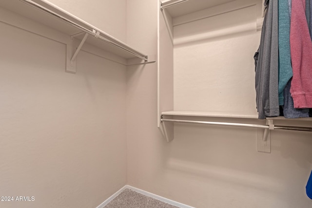 walk in closet with carpet floors