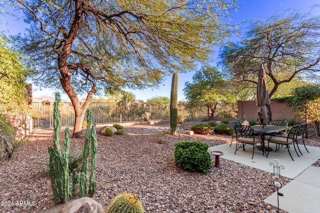 view of yard with a patio