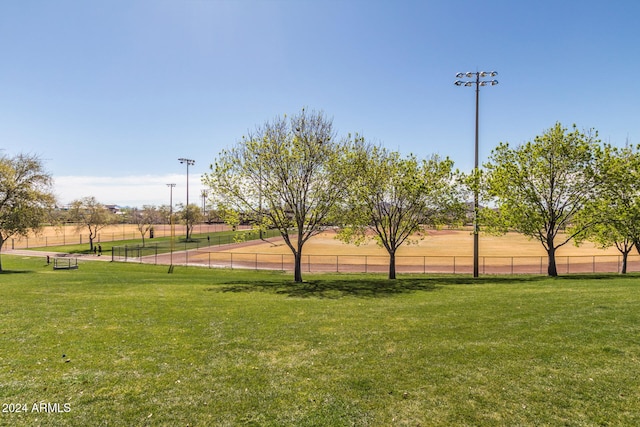 view of community with a yard