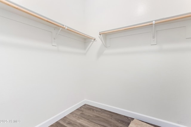 spacious closet featuring wood-type flooring