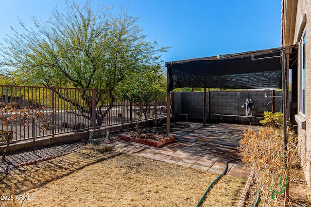 view of yard with a patio