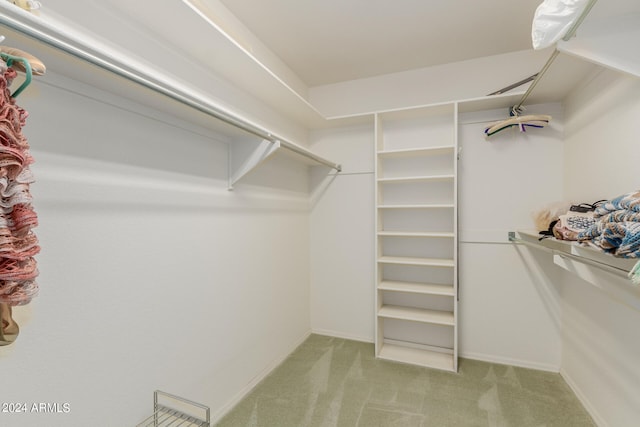 walk in closet with light colored carpet