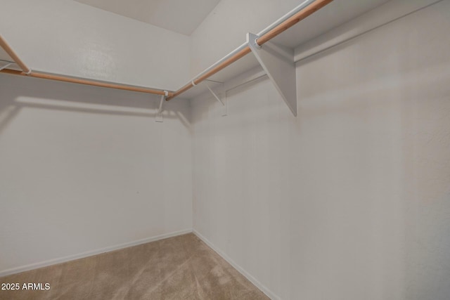 spacious closet featuring light carpet