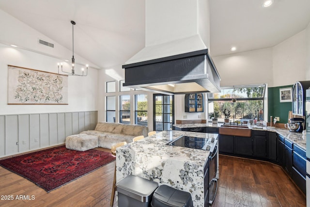 kitchen featuring stainless steel electric stove, dark hardwood / wood-style floors, a wealth of natural light, and light stone counters