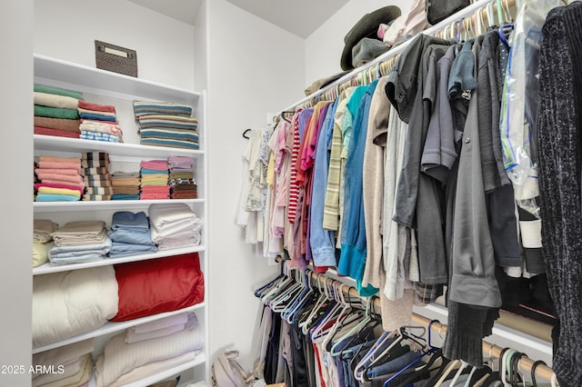 view of spacious closet