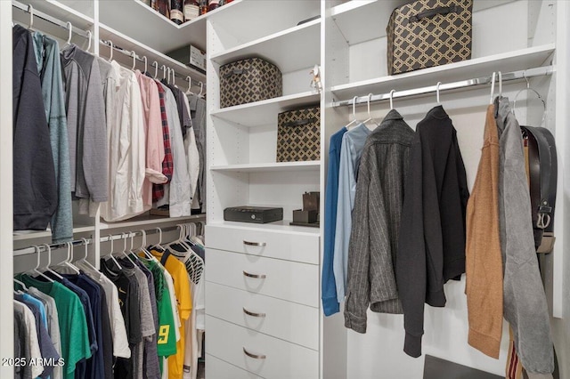 view of walk in closet