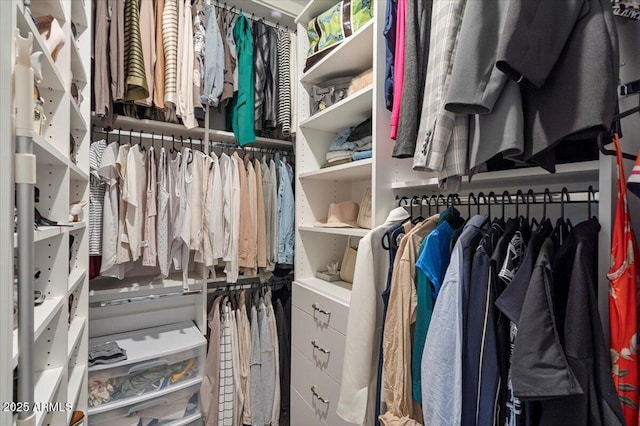 view of walk in closet