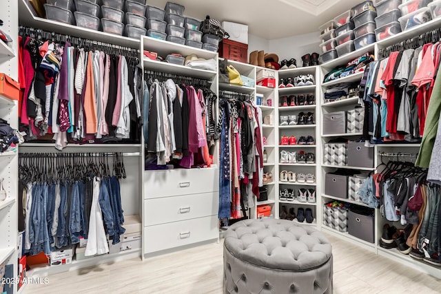 42711 N 45th Dr, Phoenix, AZ 85087 - view of spacious closet
