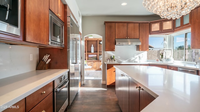 kitchen with light countertops, appliances with stainless steel finishes, glass insert cabinets, a sink, and under cabinet range hood