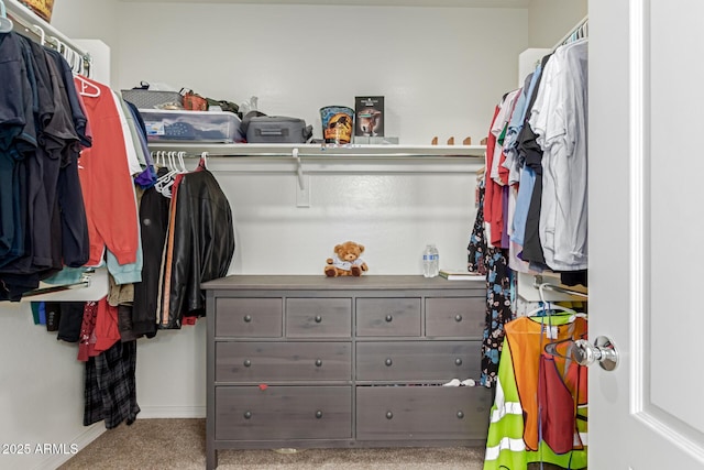 19771 W Woodlands Ave, Buckeye, AZ 85326 - walk in closet featuring carpet floors