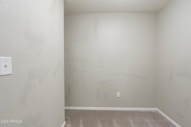 unfurnished room featuring carpet floors