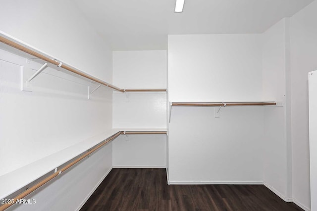 spacious closet with dark wood finished floors