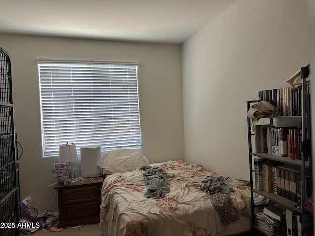25931 W Deer Valley Rd, Buckeye, AZ 85396 - view of bedroom