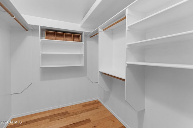 spacious closet featuring light hardwood / wood-style floors