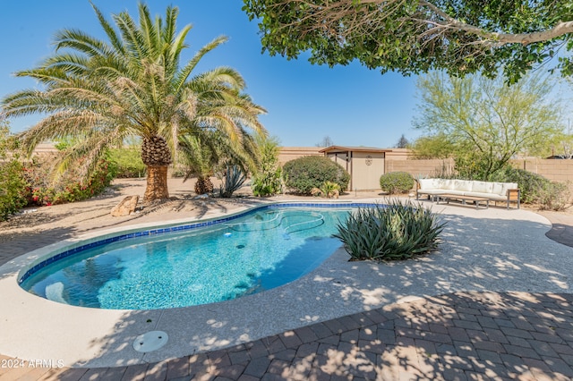 view of swimming pool with a patio area