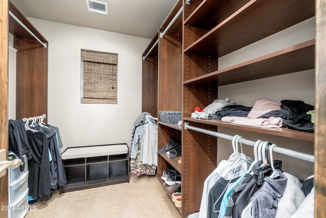 walk in closet with light colored carpet