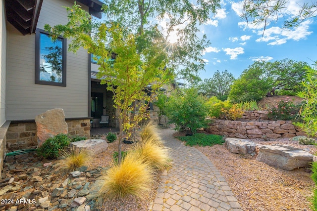 view of yard with a patio