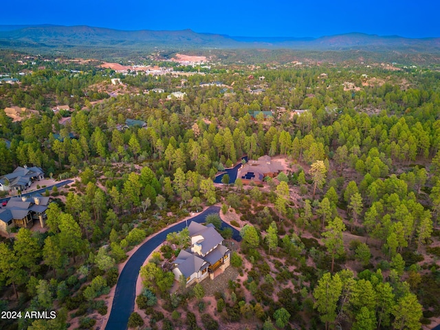 bird's eye view with a mountain view