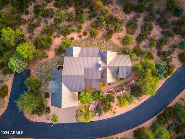 aerial view