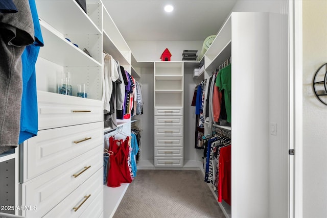 spacious closet with carpet