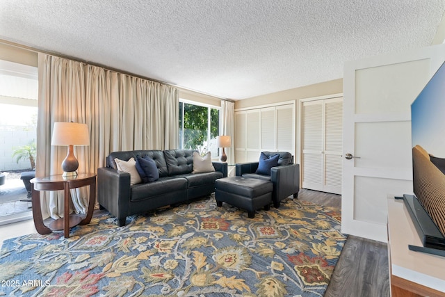 living area featuring wood finished floors and a textured ceiling