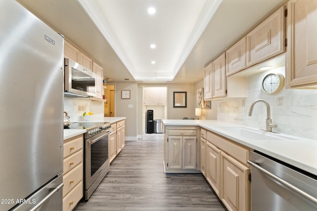 kitchen featuring wood finished floors, a peninsula, a sink, stainless steel appliances, and light countertops