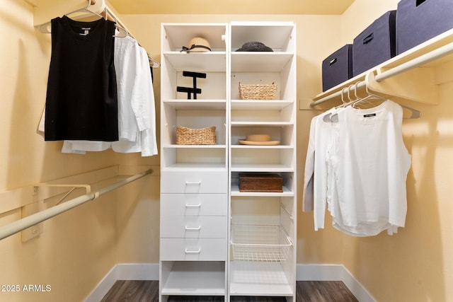 spacious closet featuring dark wood finished floors