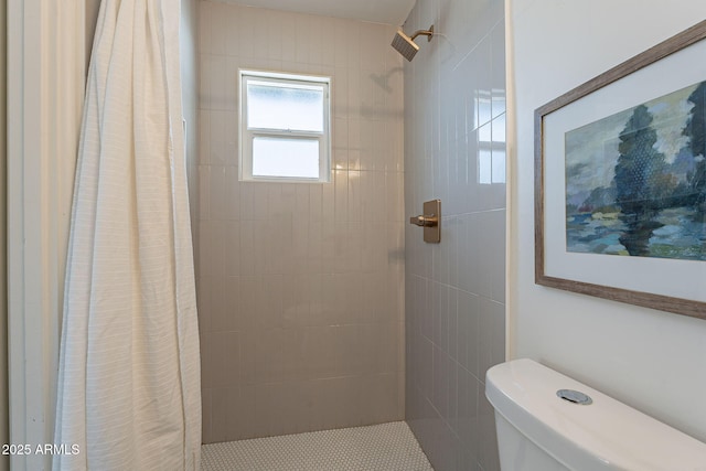 1466 E Nielson Ave, Mesa, AZ 85204 - bathroom with a tile shower and toilet