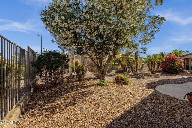 4293 E Sourwood Dr, Gilbert, AZ 85298 - view of fenced backyard