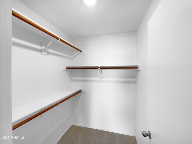 spacious closet featuring carpet flooring