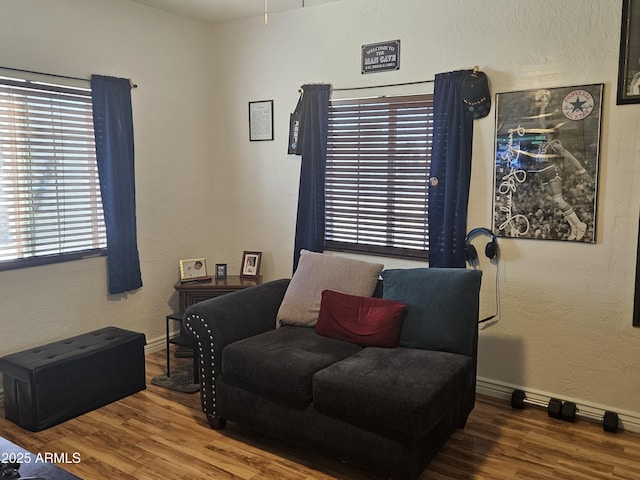 sitting room featuring hardwood / wood-style flooring