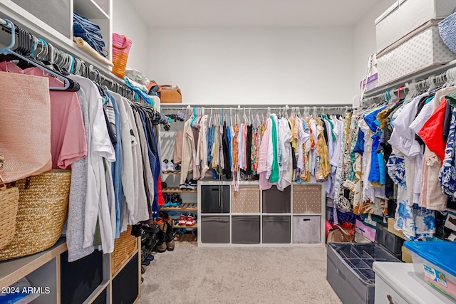 spacious closet with light carpet