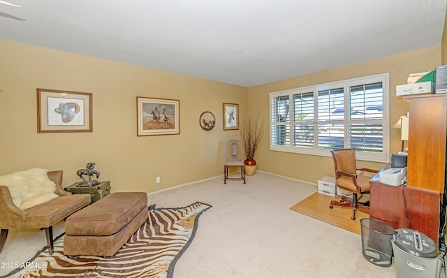 office with baseboards and carpet floors