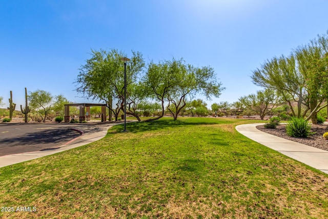 7617 E Desert Honeysuckle Dr, Gold Canyon, AZ 85118 - view of green lawn
