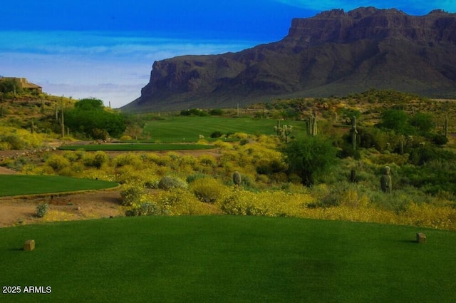 7617 E Desert Honeysuckle Dr, Gold Canyon, AZ 85118 - view of mountain background