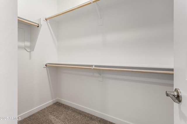 5656 N 205th Ln, Buckeye, AZ 85396 - walk in closet featuring carpet floors