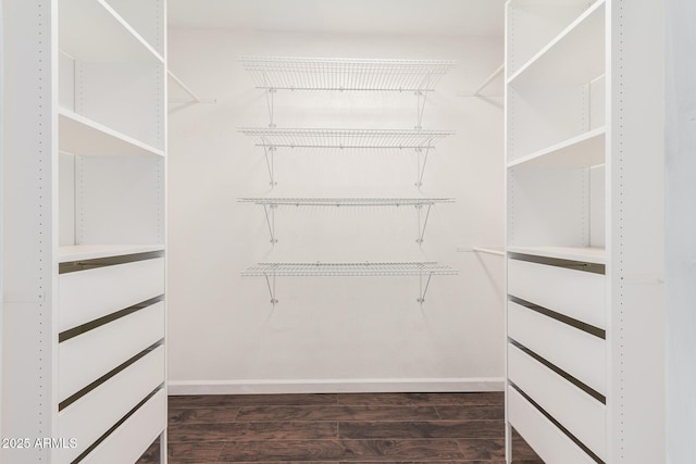 walk in closet featuring dark wood-style floors