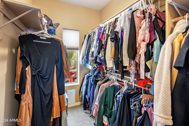 spacious closet featuring carpet