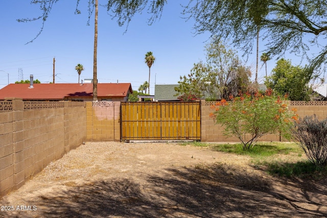 1454 W Capri Ave, Mesa, AZ 85202 - view of yard