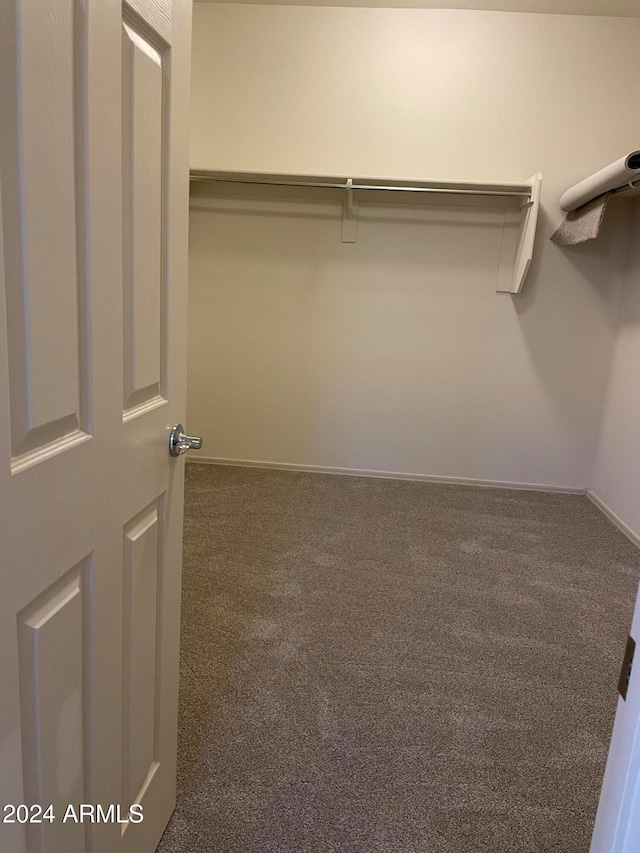 spacious closet with carpet flooring