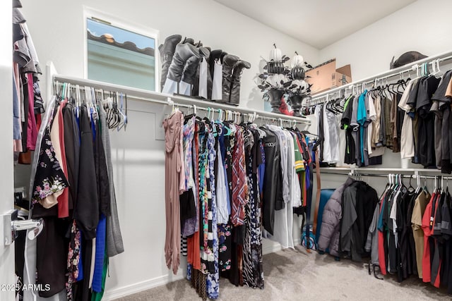 286 E Raleigh Dr, Chandler, AZ 85286 - walk in closet featuring carpet flooring
