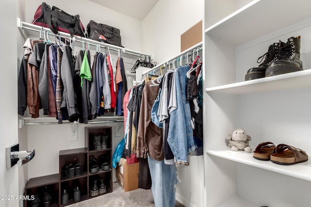 286 E Raleigh Dr, Chandler, AZ 85286 - spacious closet featuring carpet floors