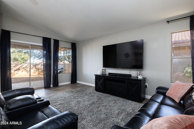 living room with wood-type flooring and vaulted ceiling