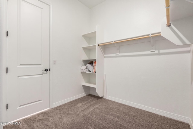 spacious closet with carpet floors