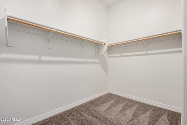 walk in closet with carpet floors